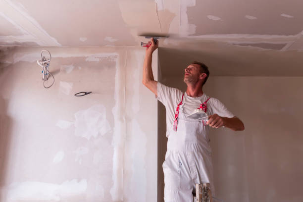 Best Remodeling Drywall  in Harrisville, PA